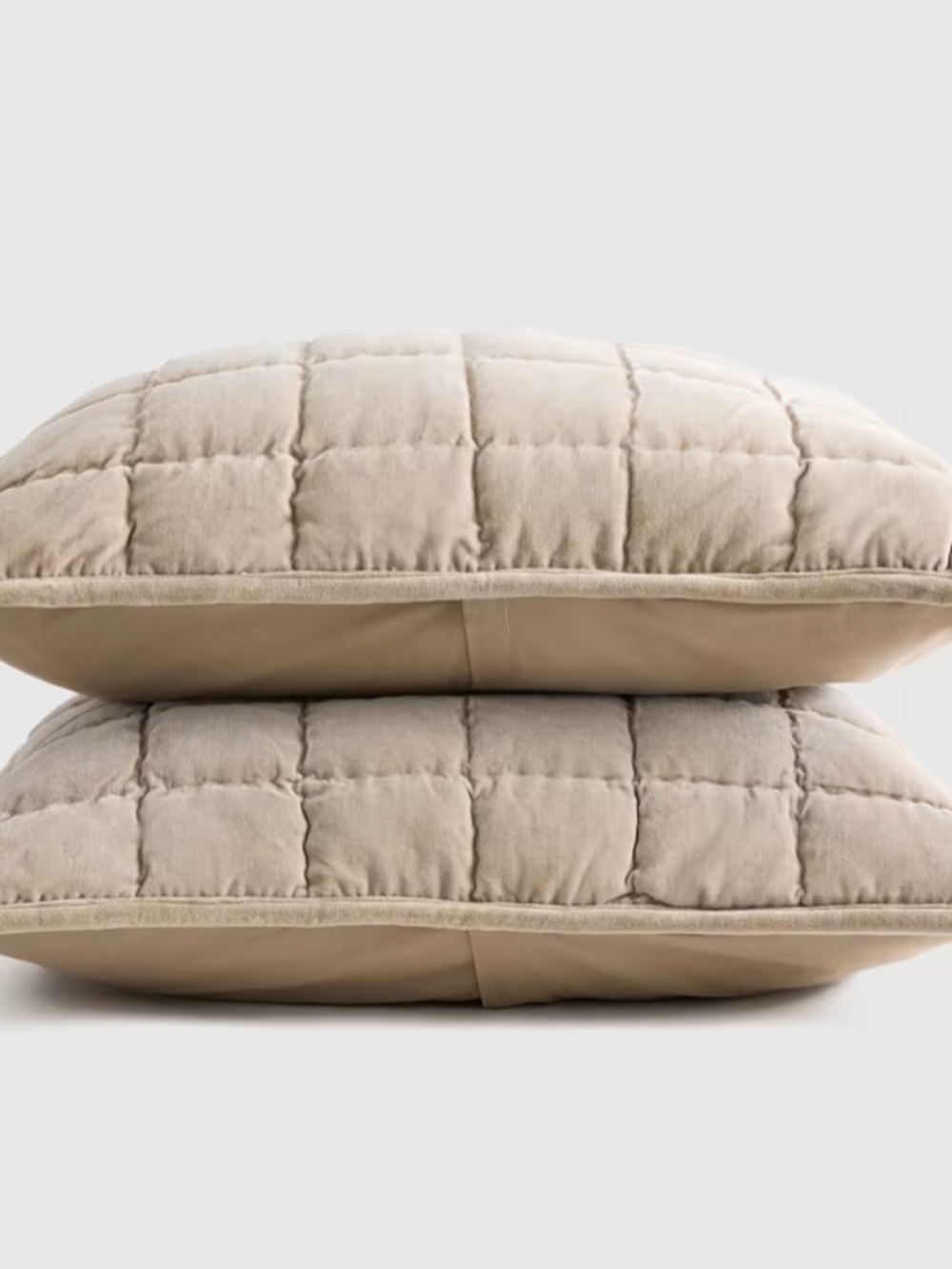 New Quince Cotton Velvet Box Quilted Sham Set of 2 King Light Taupe